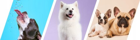 2Dog Mini Kiełbaski JELEŃ 160g