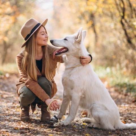 2Dog mokra karma konina z siemieniem 400g