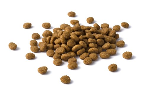 Purina Cat Chow Adult Chicken And Rice 15kg