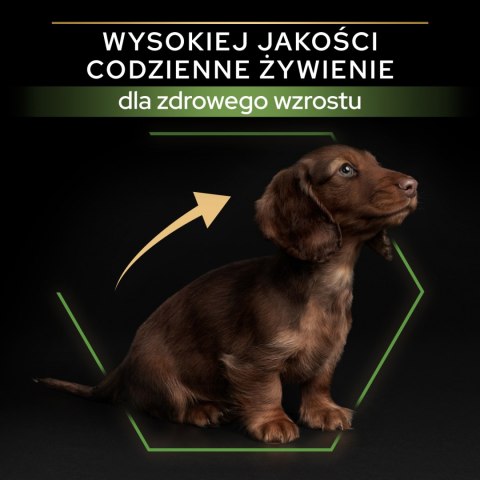 Purina Pro Plan Small & Mini Puppy Optistart Kurczak I Ryż 7kg