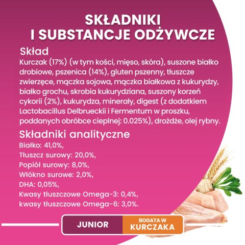 Purina One Junior Karma Z Kurczakiem Dla Kociąt 800g