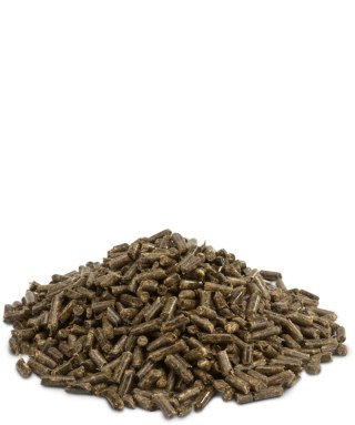 Versele-Laga Crispy Pellets Chinchilla & Degu 1kg