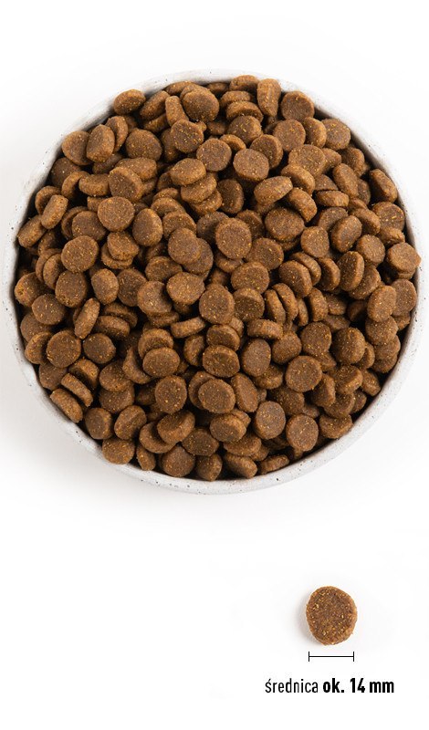 Acana Heirtage Senior Dog 2kg