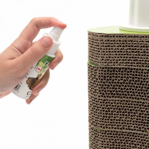 CATIT Kocimiętka W Sprayu 60ml