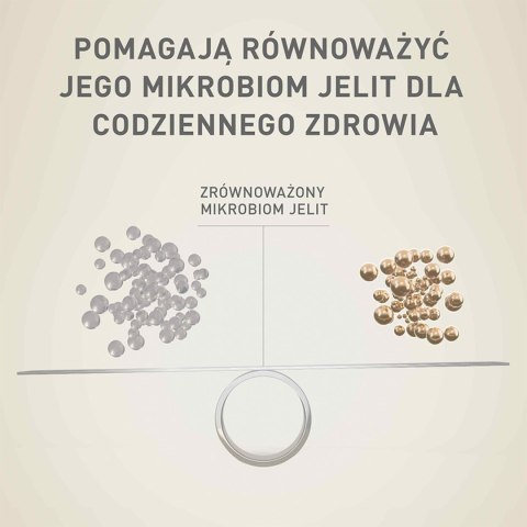 PURINA ONE Mini Active Kurczak, ryż - sucha karma dla psa - 800g
