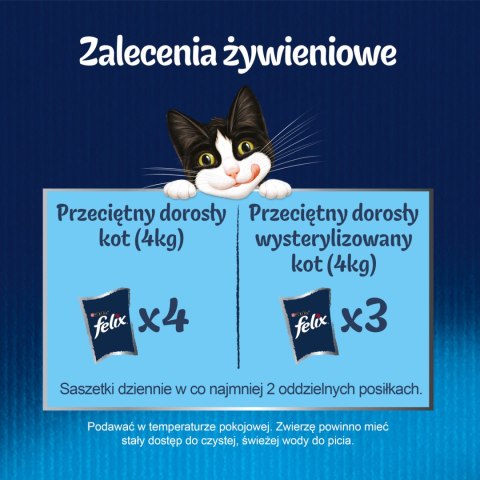 Felix Fantastic Wiejskie Smaki W Galaretce Z Łososiem I Pstrągiem 4x85g