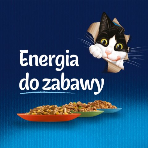 Felix Sensations Sauces Karma Dla Kota Wiejskie Smaki W Sosie 4x85g