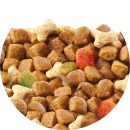 PURINA Friskies Junior 8kg