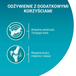 Purina One Adult Karma Dla Kota Z Kurczakiem I Zieloną Fasolką 85g