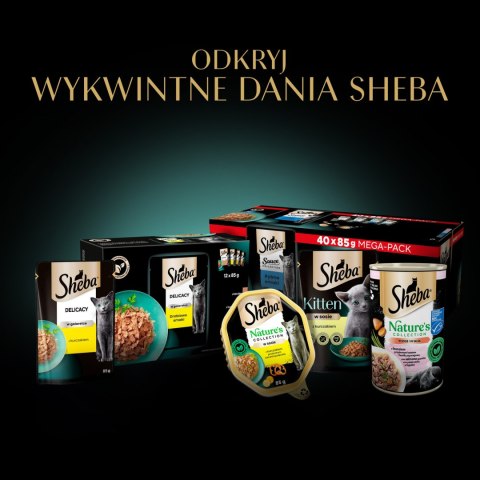 Sheba Sauce Collection Karma Mokra Dla Kota Z Cielęciną W Sosie 85g