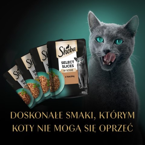 Sheba Selection Karma Dla Kota Drobiowe Smaki 120x85g
