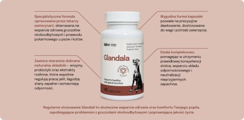 Lab-v Glandala Wsparcie Gruczołów Okołoodbytowych i Przewodu Pokarmowego 45 Kapsułek