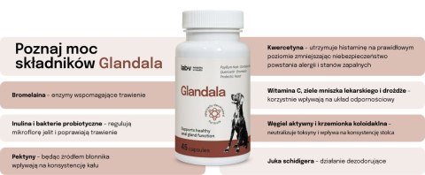 Lab-v Glandala Wsparcie Gruczołów Okołoodbytowych i Przewodu Pokarmowego 45 Kapsułek