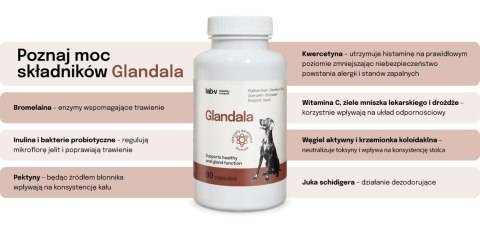 Lab-v Glandala Wsparcie Gruczołów Okołoodbytowych i Przewodu Pokarmowego 90 Kapsułek