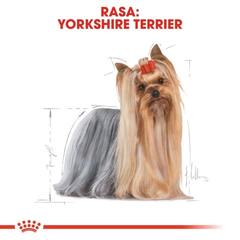 ROYAL CANIN Yorkshire Terrier Adult 12x85g