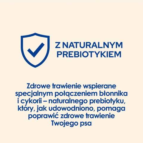 Purina Dog Chow Adult Z Kurczakiem 14kg