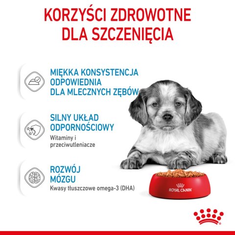 ROYAL CANIN Medium Puppy 10x140g