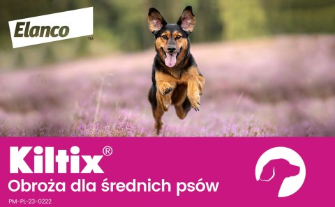 Bayer Kiltix Obroża Na Kleszcze I Pchły Dla Psa 53cm