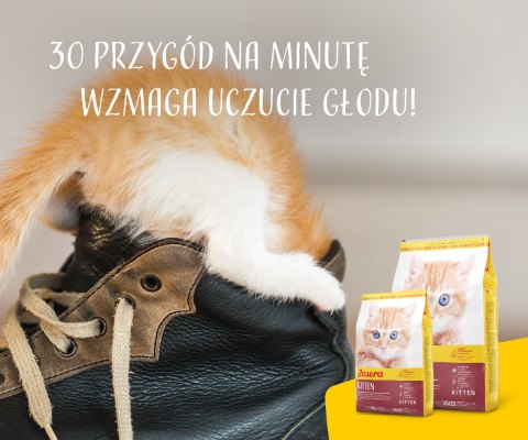 Josera Kitten 10kg
