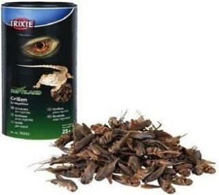 Trixie Suszone Świerszcze 25g