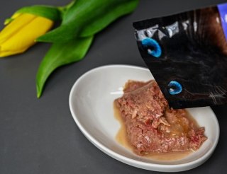 Josera Filet Kurczak Z Łososiem 70g