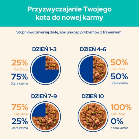Purina Cat Chow Hairball Karma Z Kurczakiem I Zieloną Fasolką W Sosie 85g