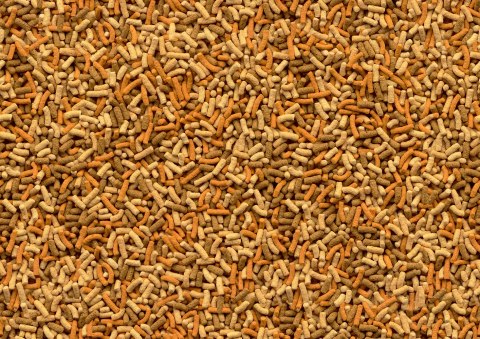 Tetra Pond Variety Sticks 1l