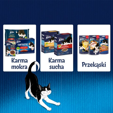 Felix Fantastic Wiejskie Smaki W Galaretce 24x85g