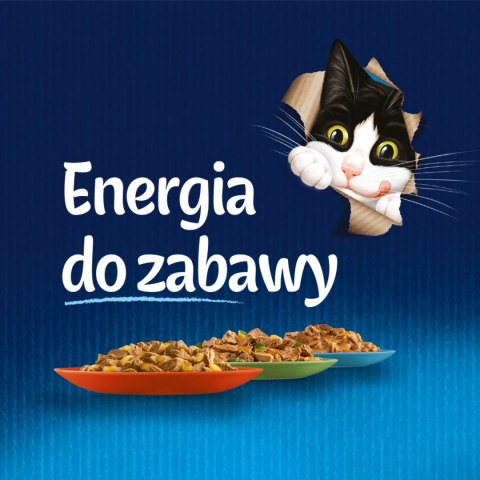 Felix Sensations Jellies Kaczka Z Szpinakiem W Galaretce 85g