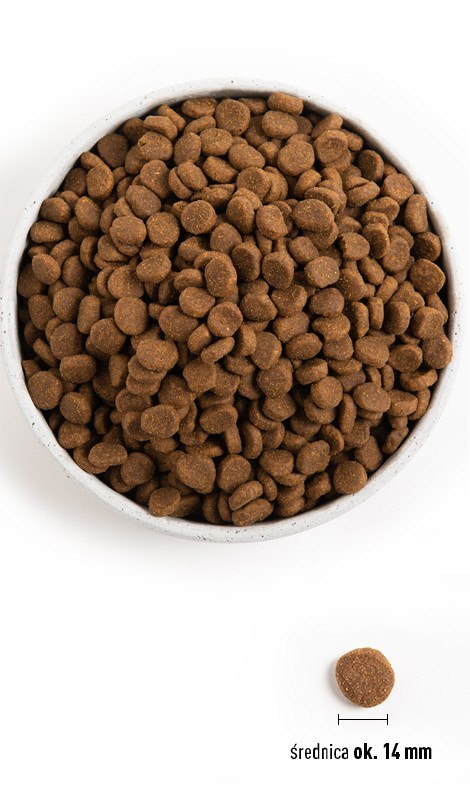 Orijen Senior 2kg