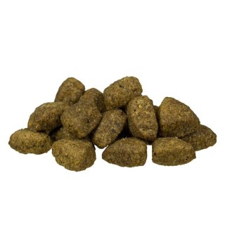 BOSCH Adult Lamb & Rice 15kg