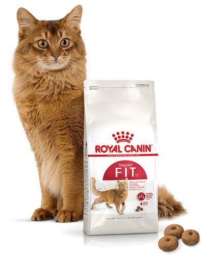 ROYAL CANIN Fit 32 10kg