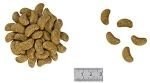 ROYAL CANIN Renal Select Canine 2kg