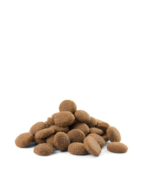 Versele-Laga Opti Life Adult Maxi Kurczak Z Ryżem 12,5kg
