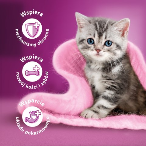 WHISKAS Karma Sucha Dla Kociąt Junior Z Kurczakiem 14kg