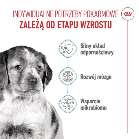 ROYAL CANIN Medium Puppy 15kg