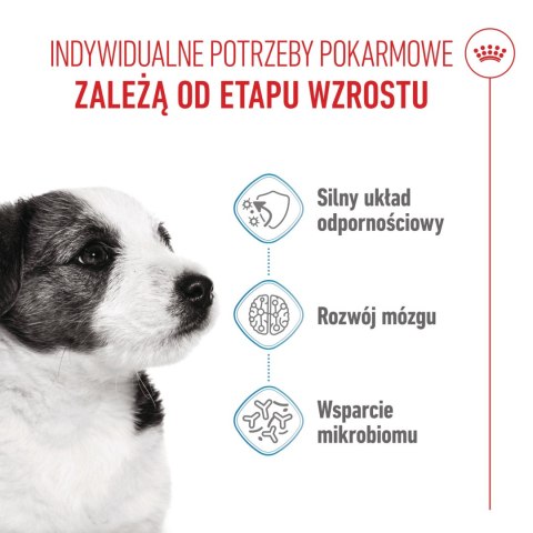 ROYAL CANIN Mini Puppy 2kg